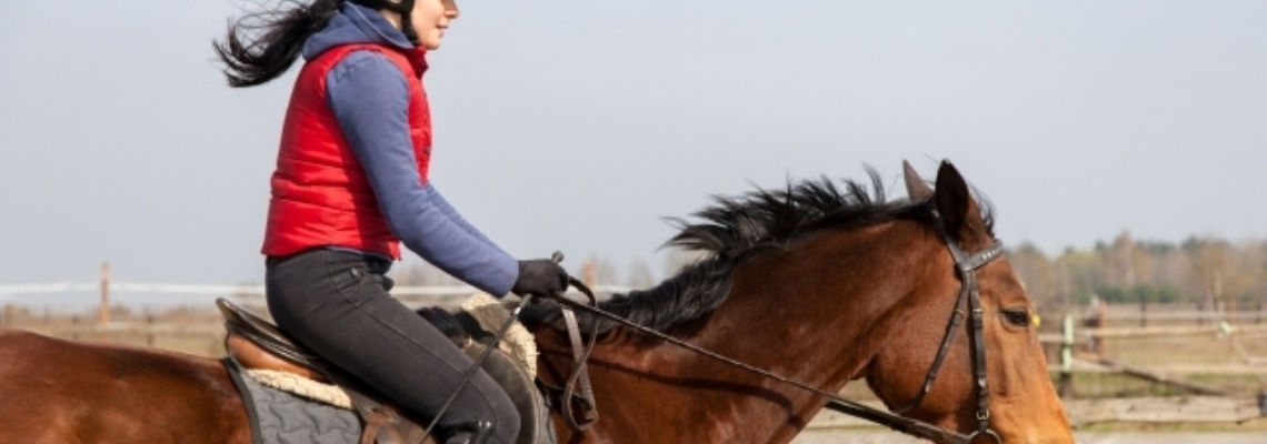Wild Run | Lezione di equitazione